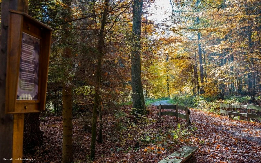 Herbst Herbst
