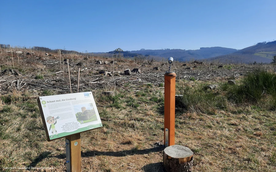 Neue Ausblicke reichen bis zur Ginsburg
