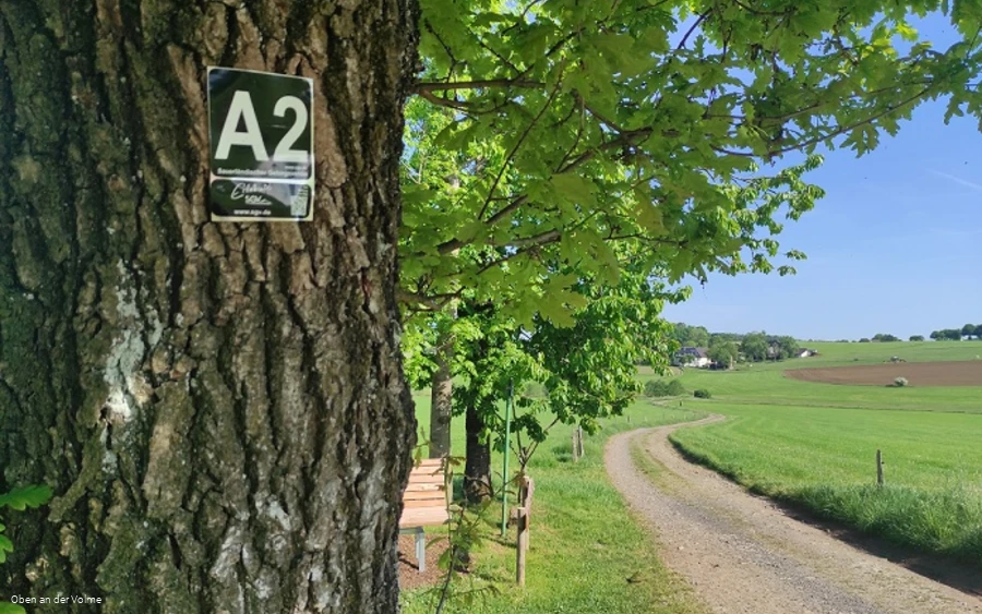 Der Wanderweg A2 führt zum Rastplatz