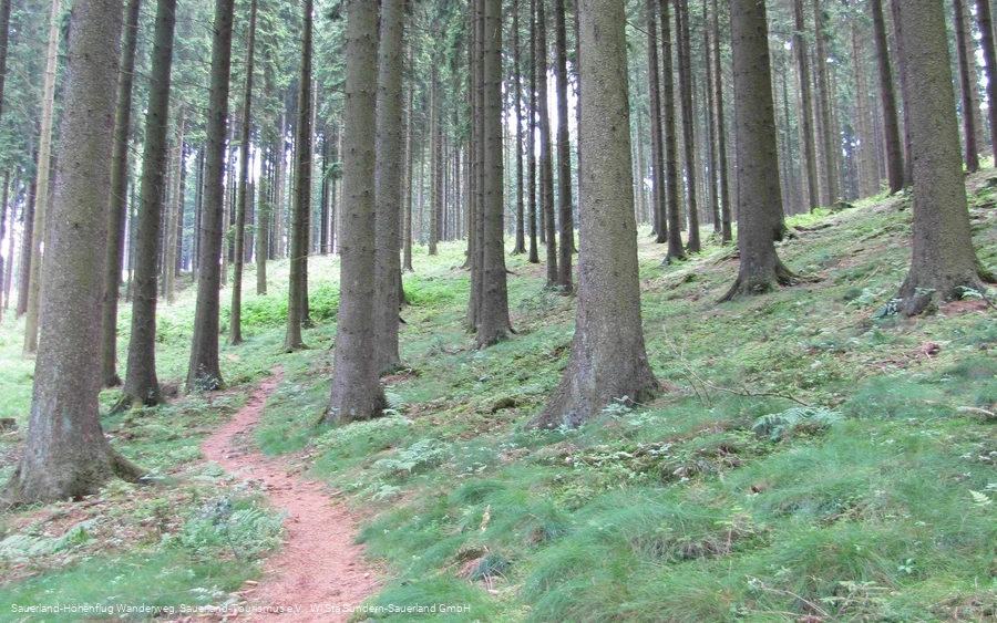 Herrlicher Pfad nahe des Krähetals