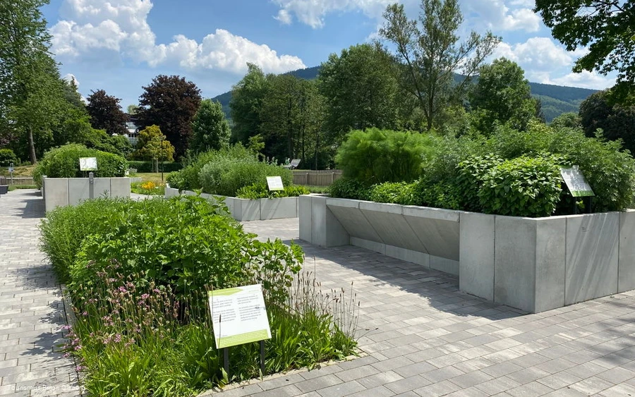 Kräutergarten Kräutergarten