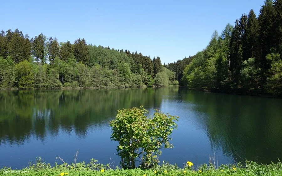 Das Vorstaubecken der Genkeltalsperre