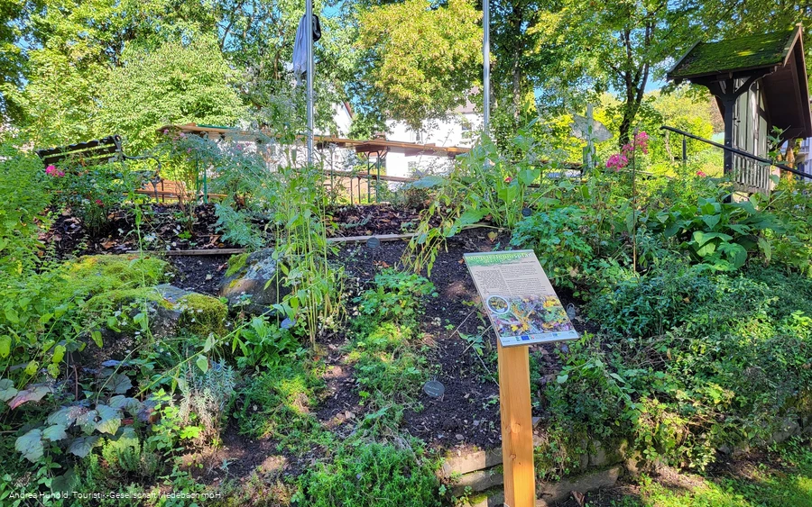 Kräutergarten am Vogelerlebnispfad Medebach-Dreislar