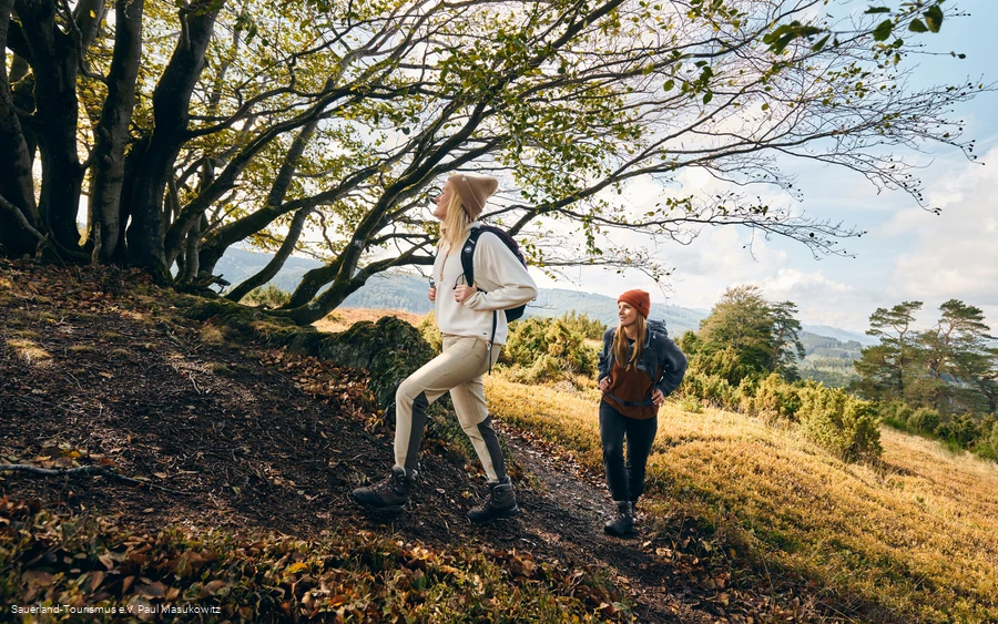 Two hikers on the Oberkirchen Gold Village Route in the Sonnenseite nature reserve