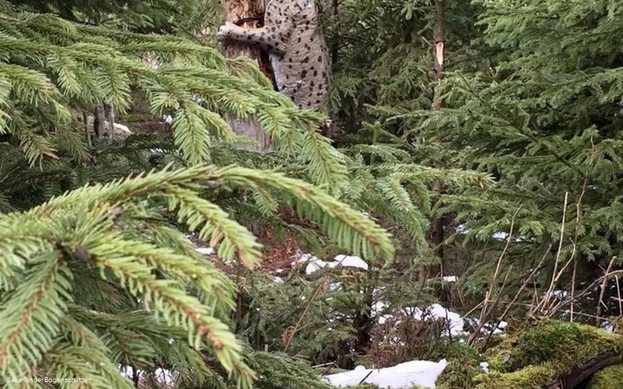 Luchs Luchs
