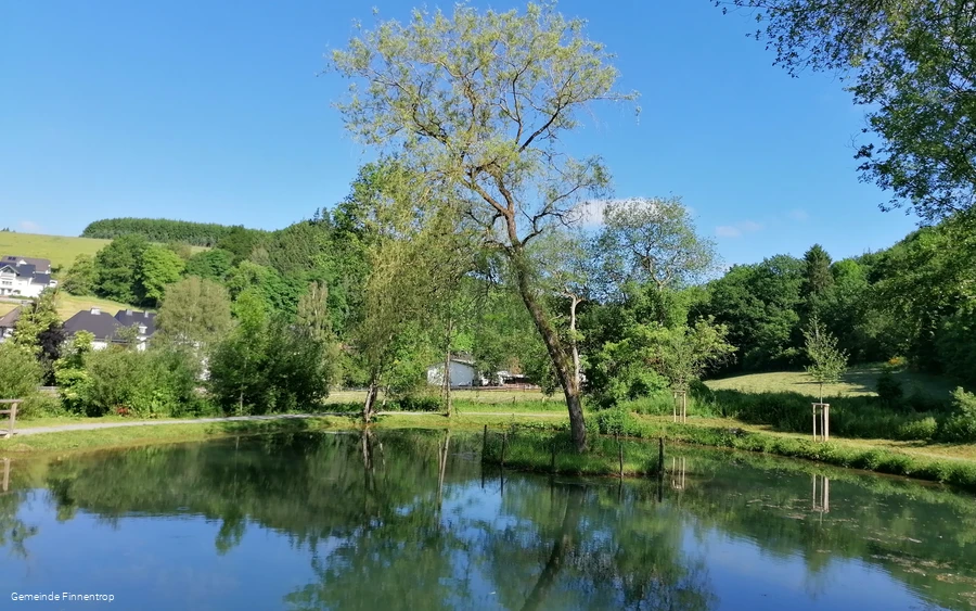 Ruhrmann's pond