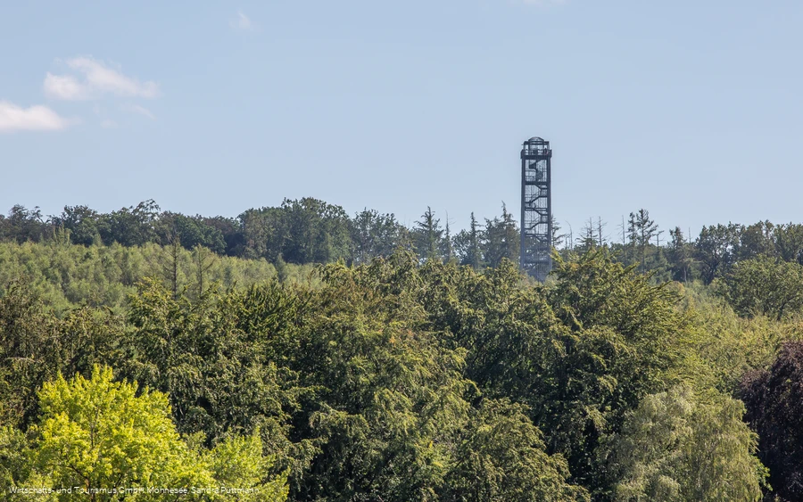 Möhnesee-Turm im Wald