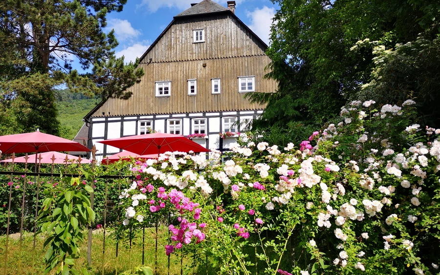 Blick auf Cafe.jpg
