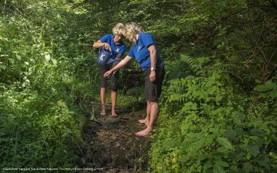 Tretstelle Papendiek