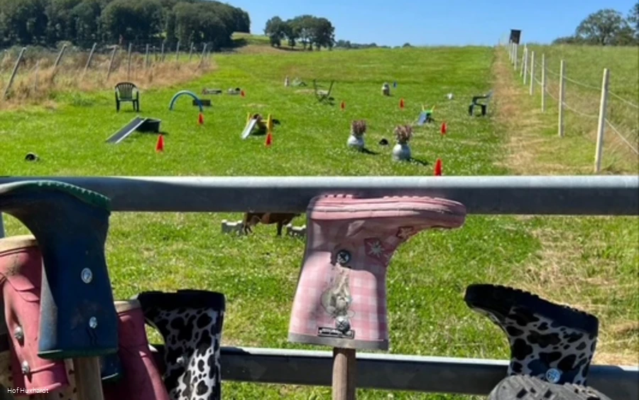 Hof Huxhardt - Bauernhofminigolf