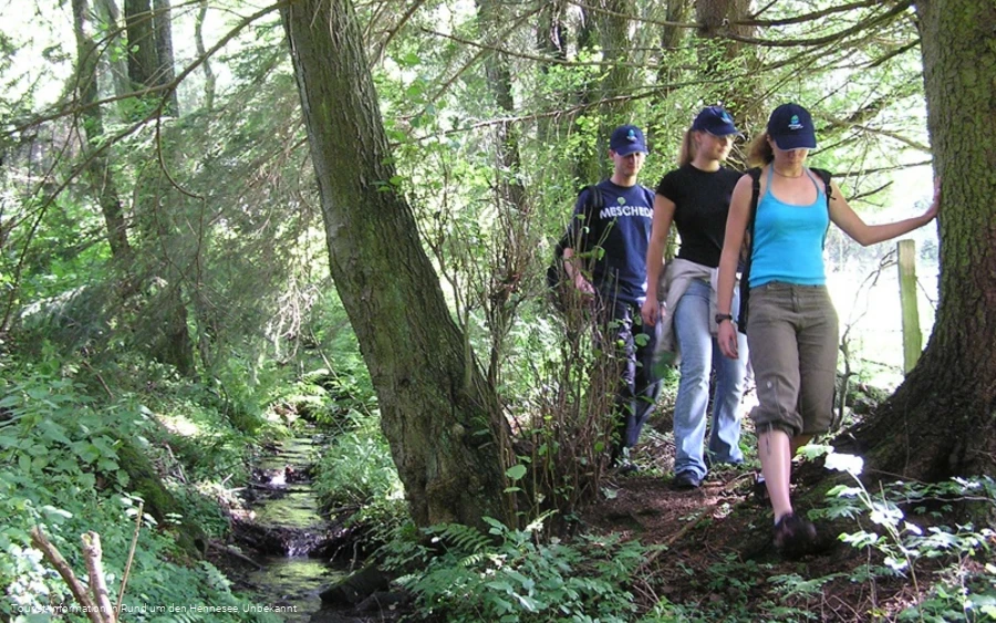 Wandern auf naturbelassenen Wegen im Sauerland