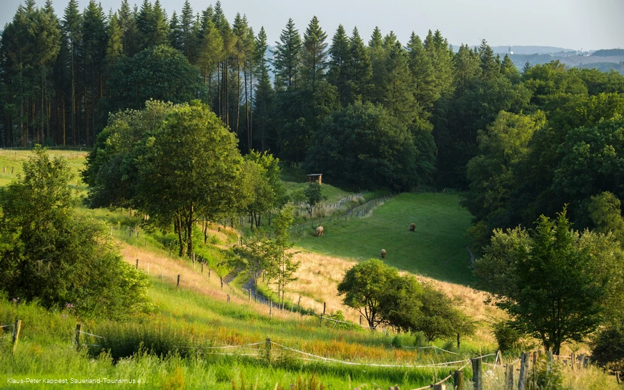 Sauerland-Höhenflug vom Hegenscheid nach Altena