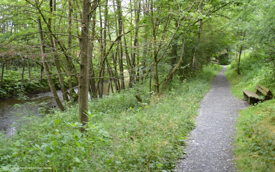RuhrtalSpazierweg_146 (Foto Hennesee-Tourismus).JPG