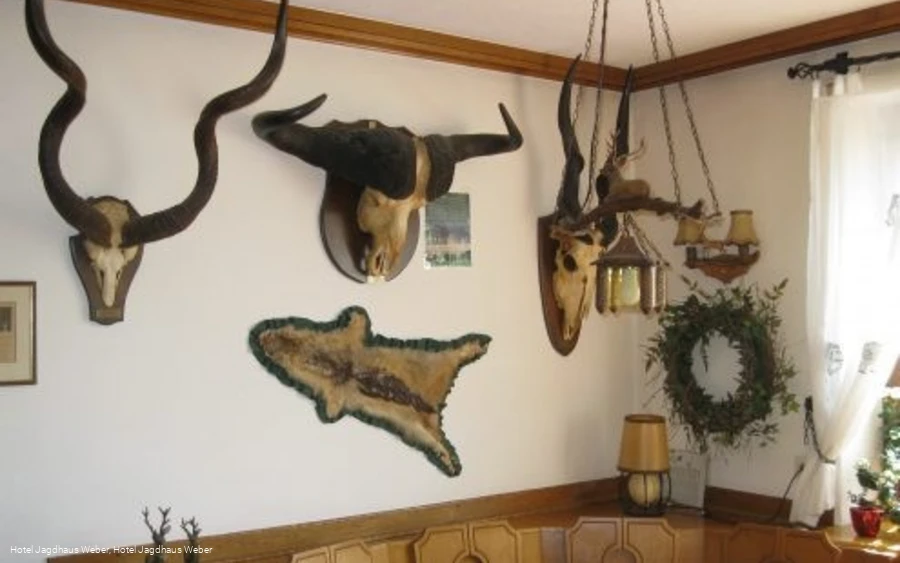 Jagdzimmer - © Hotel Jagdhaus Weber