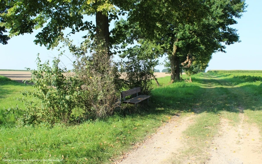 Langer Patt Bad Sassendorf-Gabrechten Richtung Heppen