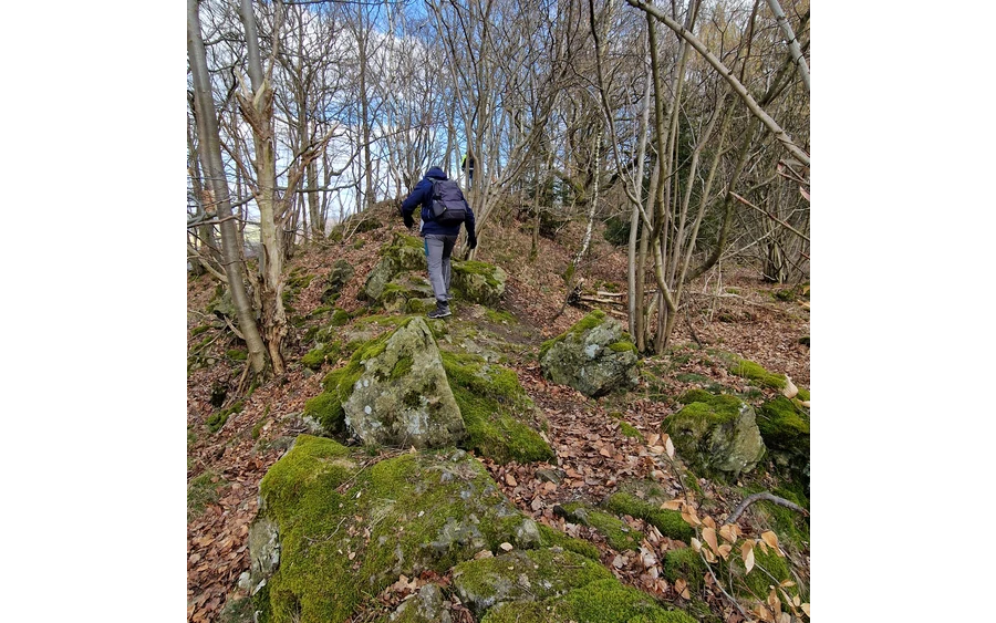 Pfad Bestweg Ostwig Steinberg