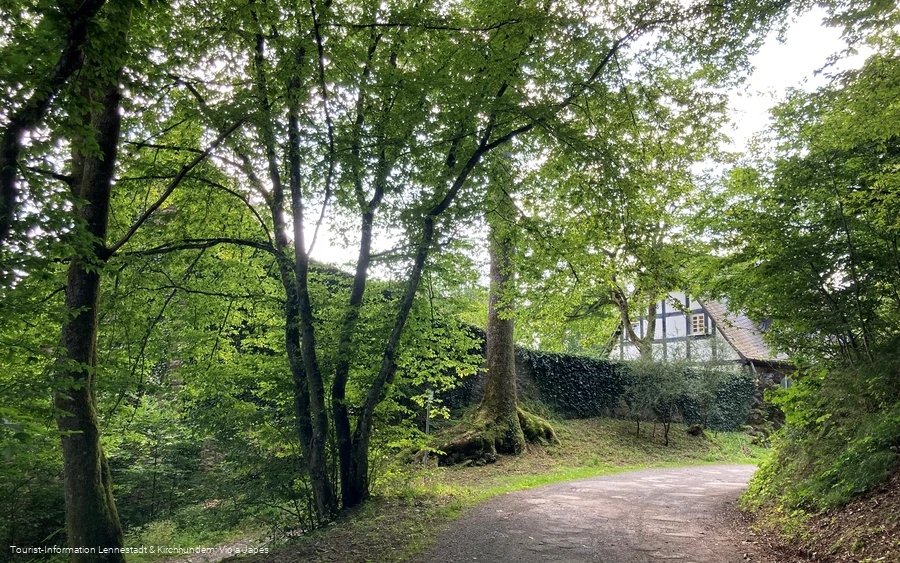 Burg Bilstein Außenmauer©Tourist-Information Lennestadt & Kirchhundem, Viola Japes.jpg