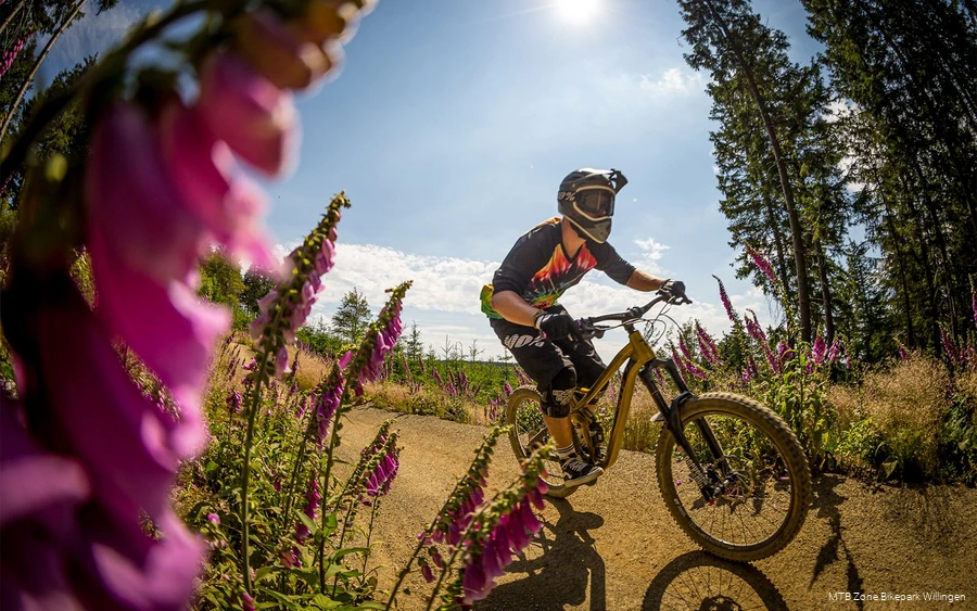 Ein Mountainbiker unterwegs im MTB Zone Bikepark Willingen.