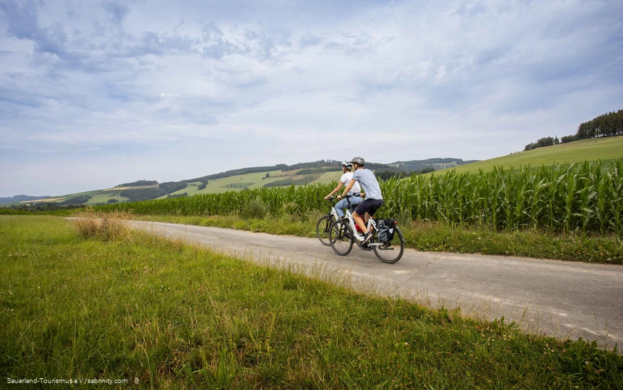 Zwei Radfahrer auf Tour durch grüne Natur.