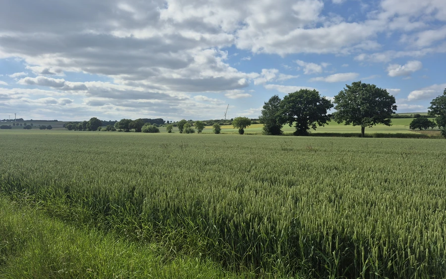 1750345540814.jpg 1750345540814.jpg