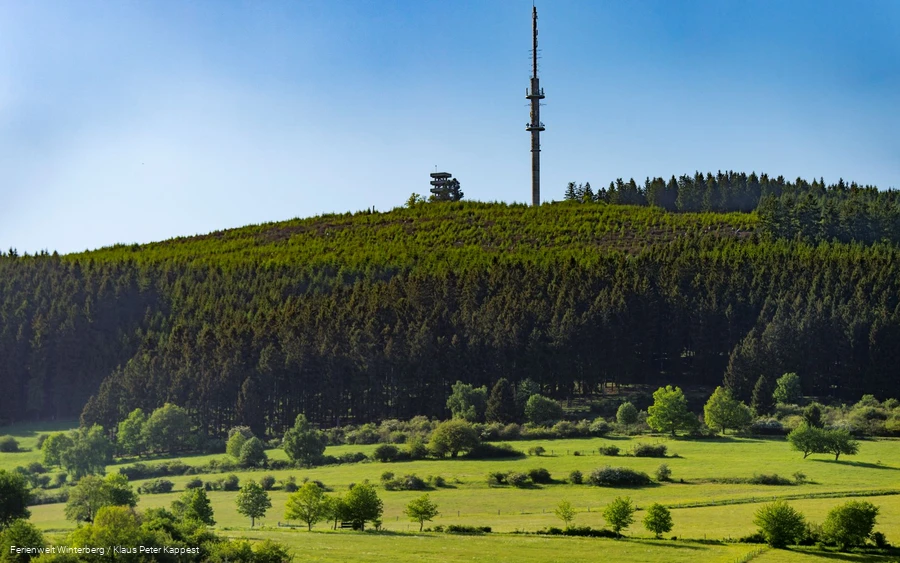 FerienweltWinterberg_2018_Hallenberg_Hesborn_Bollerberg Aussichtsturm Landschaft_Sommer_low_Klaus-Peter Kappest (1).jpg