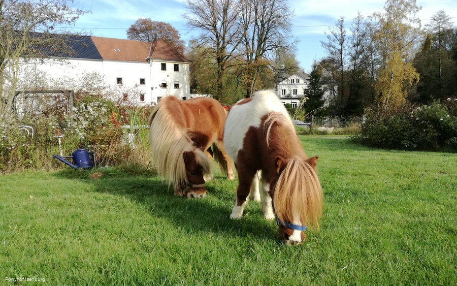 Ponyhof Isenburg
