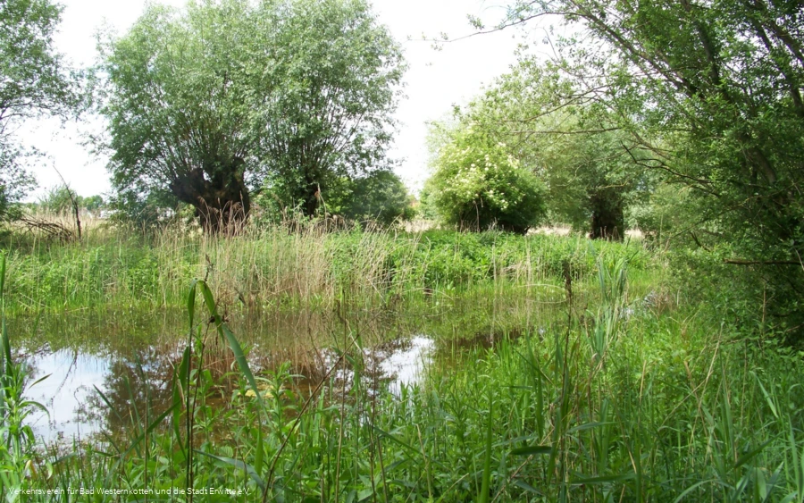 Naturschutz- & Naherholungsgebiet Muckenbruch