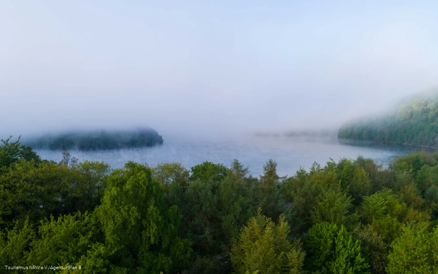 Foggy atmosphere at the lake