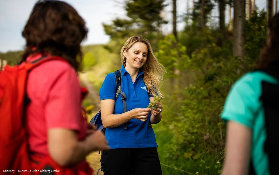 Auf dem Kneipp WanderWeg Olsberg