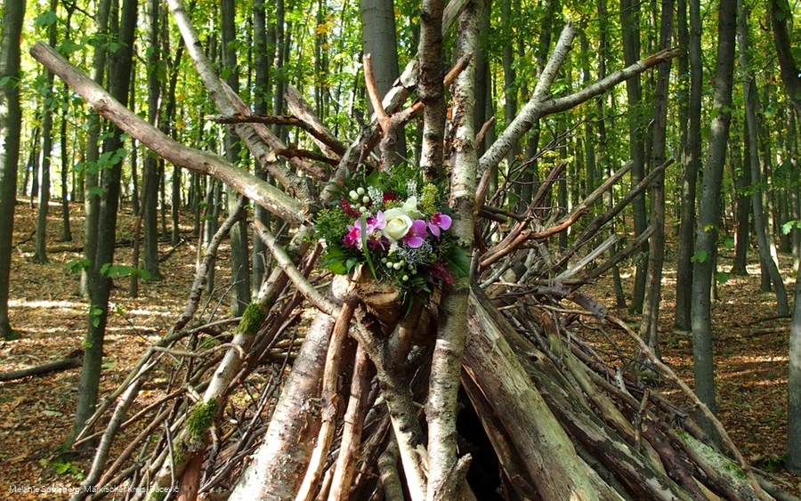 Wald-Tipi