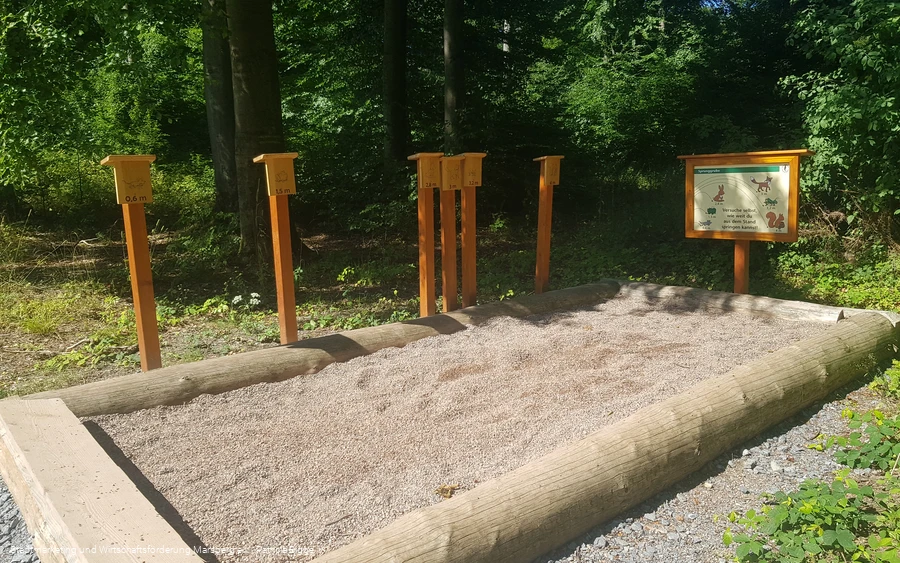 Natuerlebnis Wald Meerhof - Weitsprung