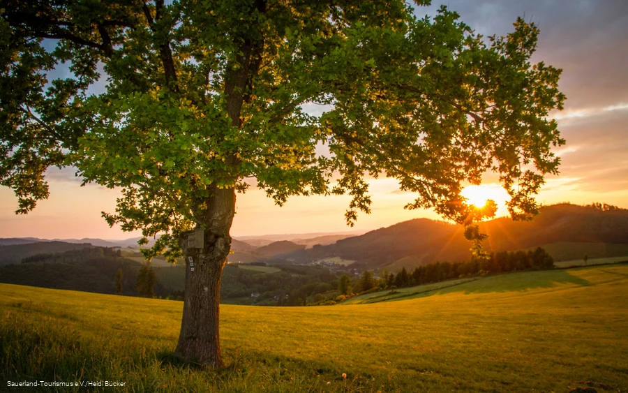 Sonnenuntergang über Sauerländer Landschaft im Frühling.