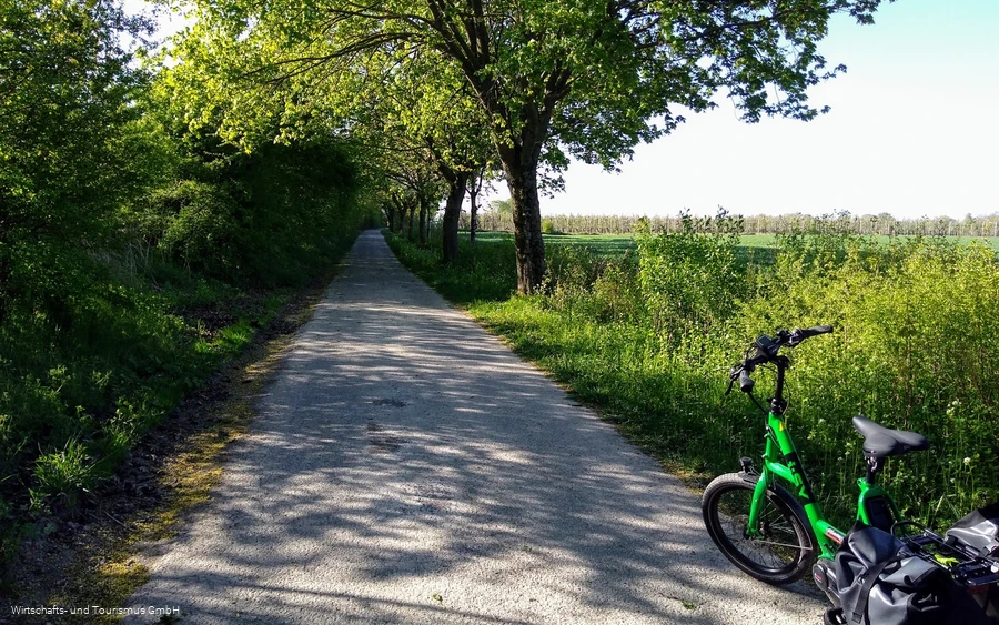 Alter Soestweg mit Obstplantagen