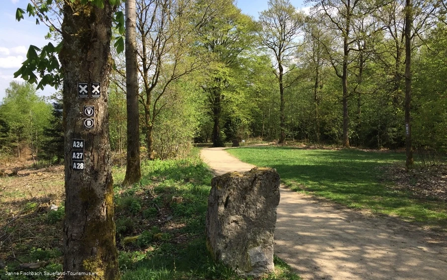 Naturerlebnispfad Hohe Bracht