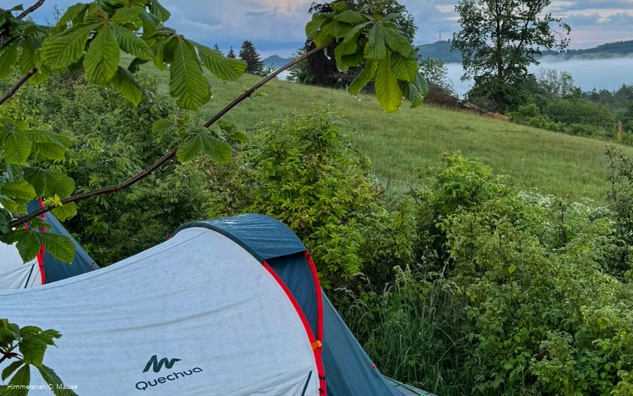 IMG-20241202-WA0131.jpg IMG-20241202-WA0131.jpg