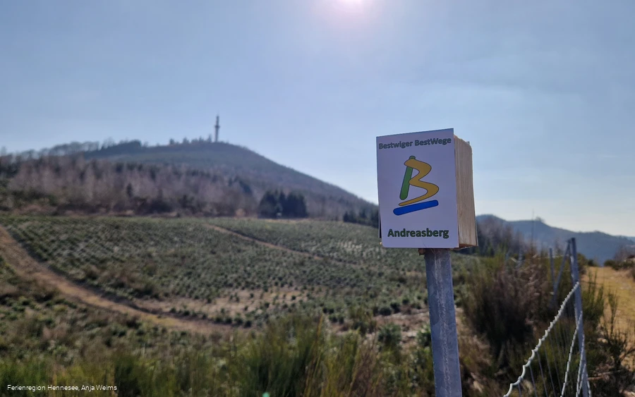 BestWeg Andreasberg Stüppelblick
