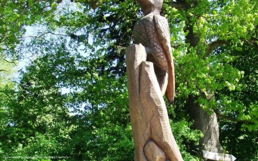 Naturerlebnis Wald Meerhof - Specht