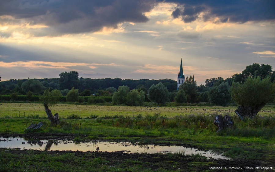 Het natuurreservaat Woeste ligt in de onmiddellijke omgeving van Bad Sassendorf.