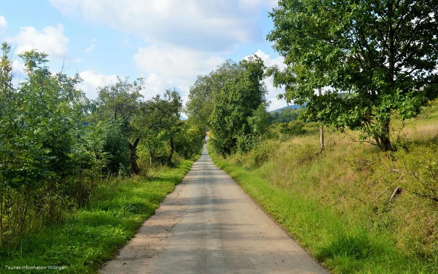 Auf dem Geschichtspfad Welleringhausen