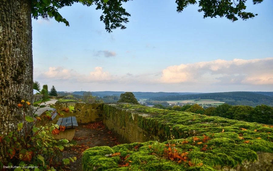 Blick von der Stadtmauer auf den Naturpark Arnsberger Wald