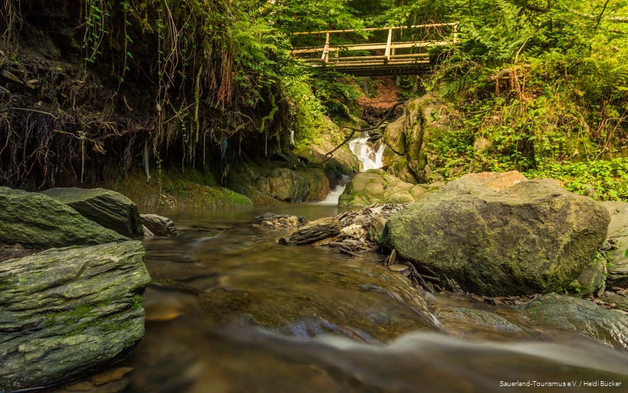 The 4.1-kilometer gorge and bridge trail in Winterberg is a real highlight.