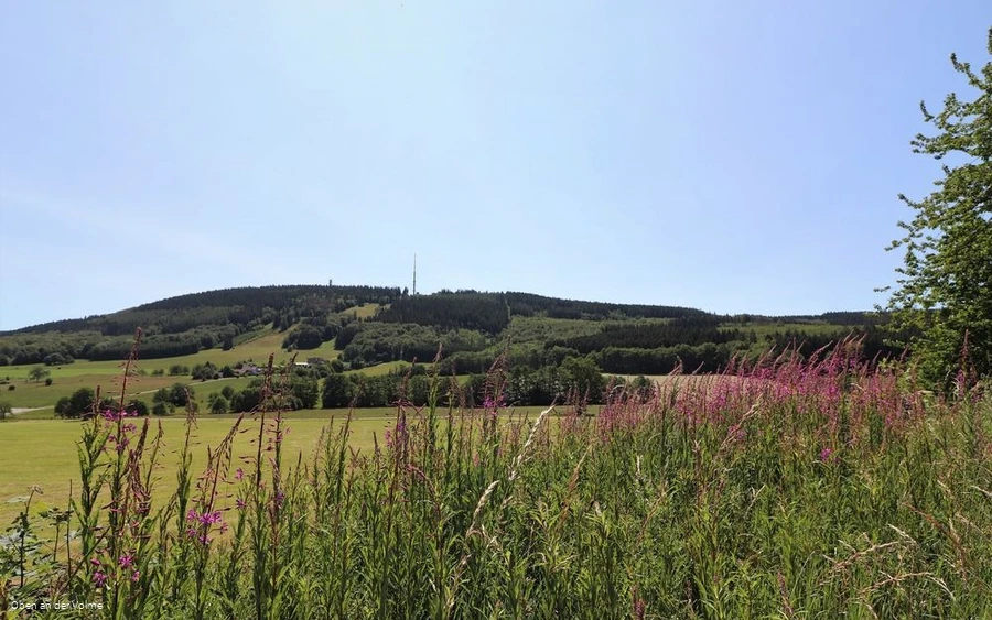 Blick auf die Nordhelle mit Robert-Kolb Turm