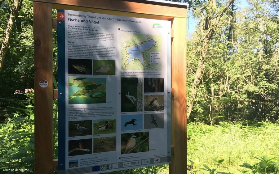 Themeninfotafel Glörtalsperre