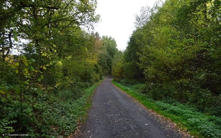 Pfad zum Pumptrack