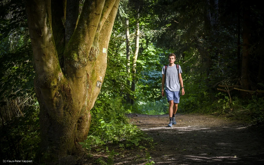 (c) Klaus-Peter Kappest Sauerland-Tourismus e.V.jpg