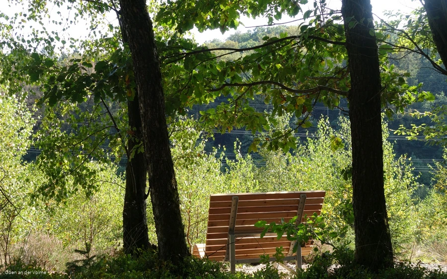 Waldsofa am Wegesrand