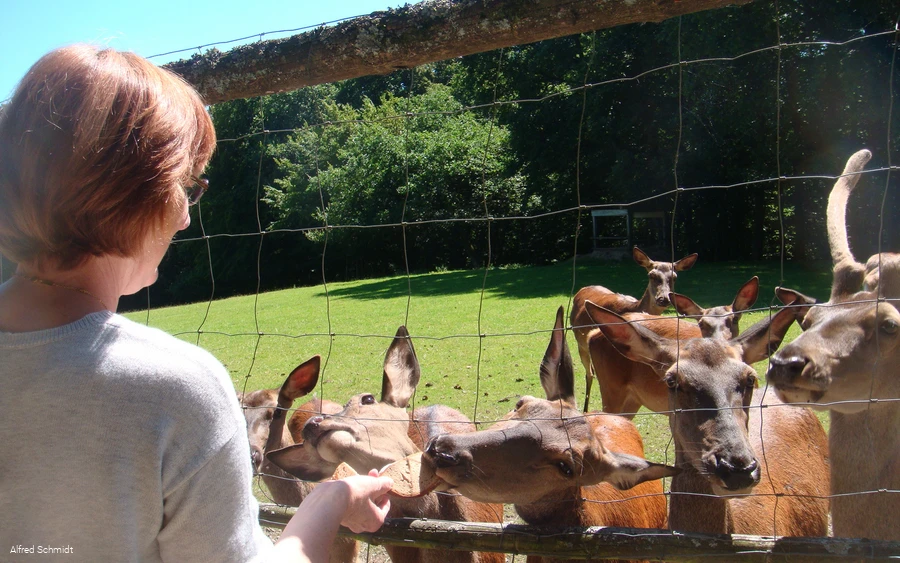 Wildgehege Dodenau