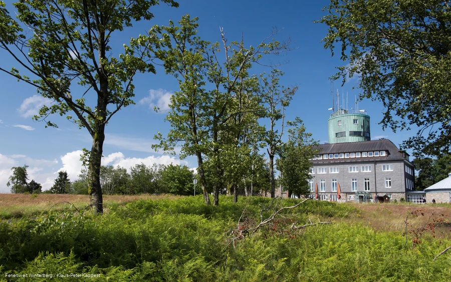 Der Astenturm ungeben von Heidelandschaft und Bäumen vor blauem Himmel.