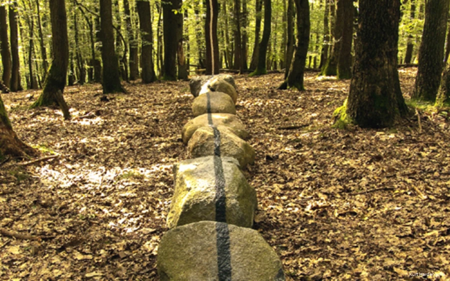 Mit einem schwarzen Strich bemalte Steine liegen in einer Reihe im Wald.