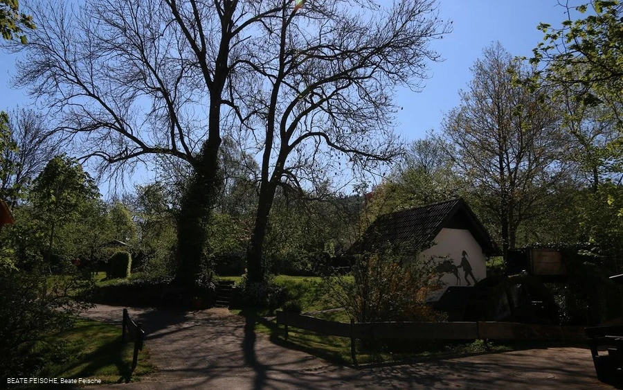 Mühle gesamt Mühle gesamt